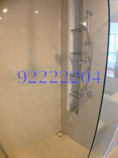 The Palette (D18), Condominium #104299322